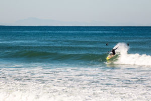 Appletree Jonagold surfboard backside turn
