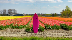 Appletree Surfboards klokhouse noseless, our most allround wave kiteboard