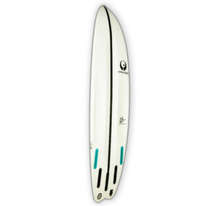 Appletree White Line kiteboard Malus Domestica bottom side